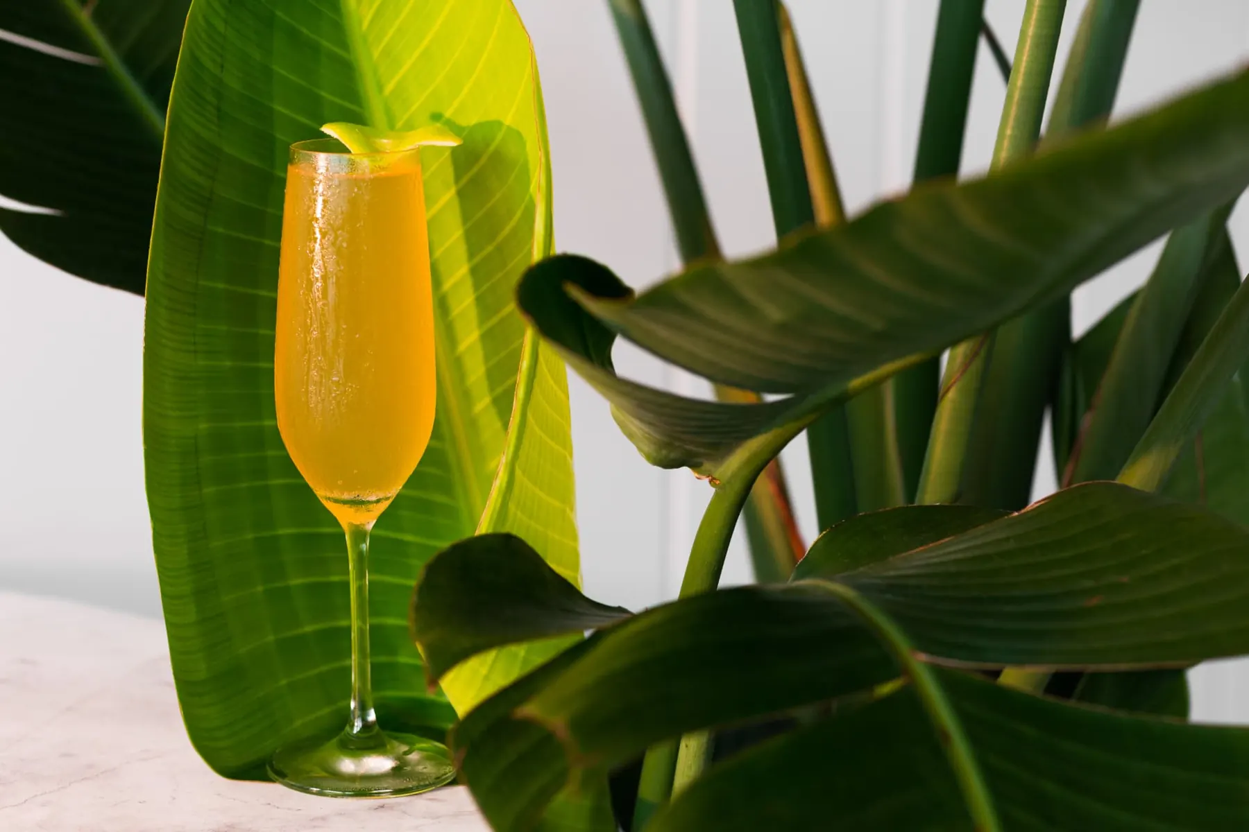 Sparkling cocktail beside tropical leaves